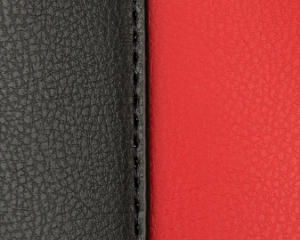 ツートーン加工